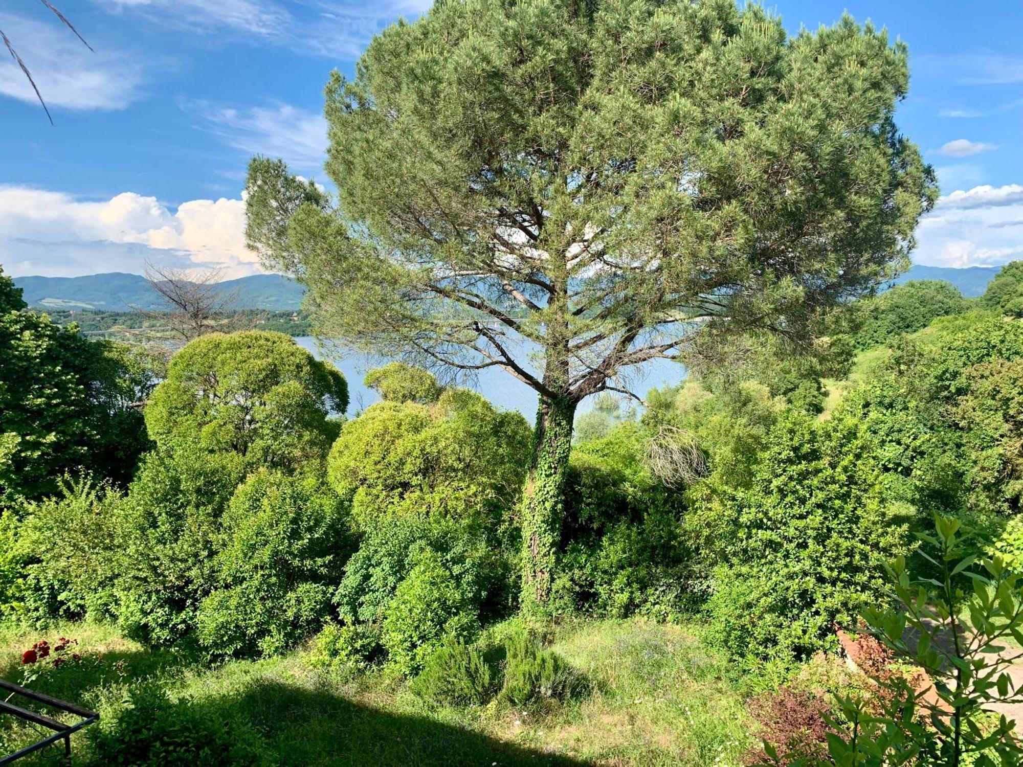 Villa Del Lago Barberino di Mugello Luaran gambar